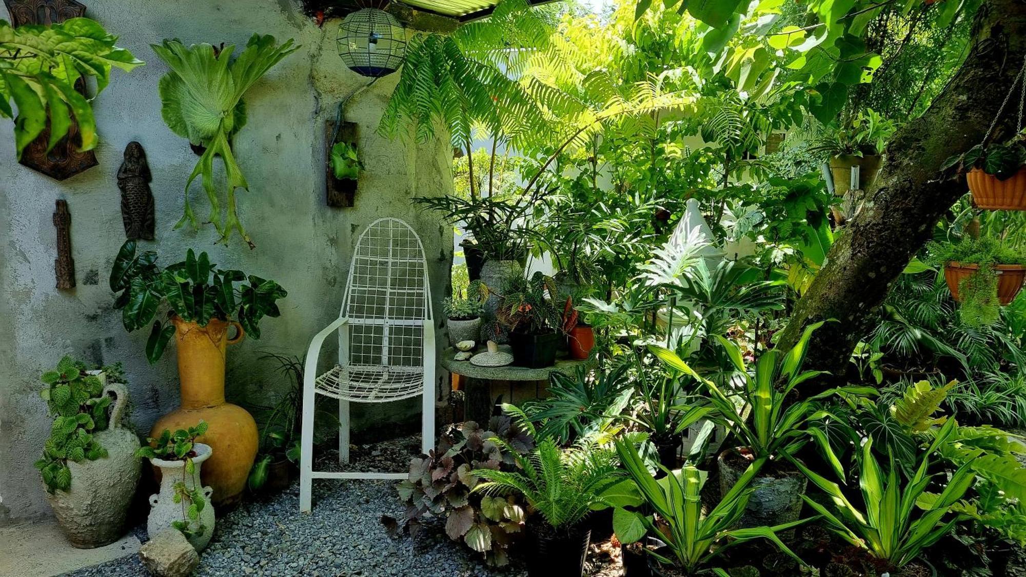 Marius B&B & Hostel Silang Extérieur photo